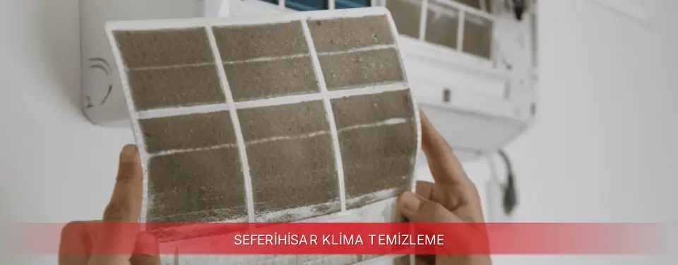 Seferihisar İlçemi Regal Klima Temizleme